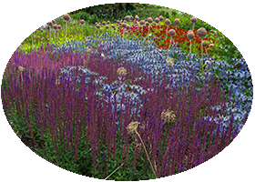 Harlow Car - RHS Garden Harrogete