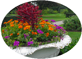 Chelsea Physic Garden February 2013